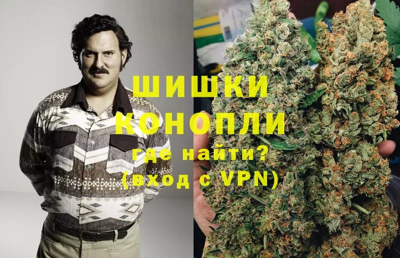 Каннабис OG Kush  Ермолино 